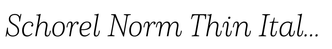 Schorel Norm Thin Italic
